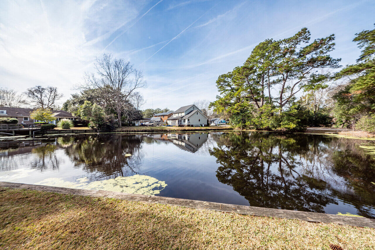 705 Chatter Road Mount Pleasant, SC 29464 - Photo 63 of 78 66