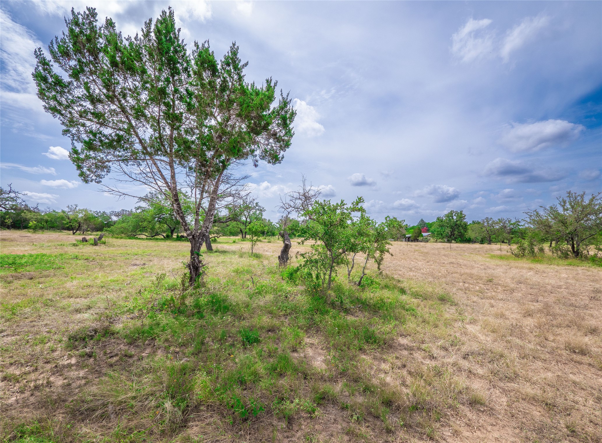 Tbd Winnie Smith Road Round Mountain, TX 78663 - Photo 10 of 30 a view of yard with green space