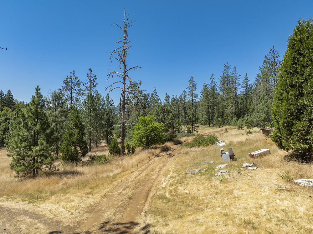 650 Gold Canyon Road Selma, OR 97538 - Photo 14 of 47 17