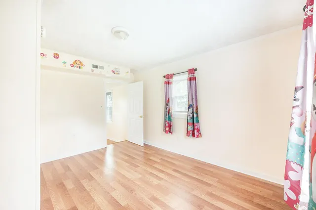 a view of a park with large trees