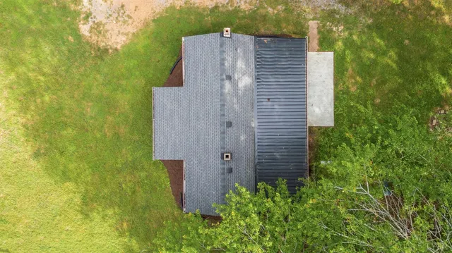 a plant is in a garden