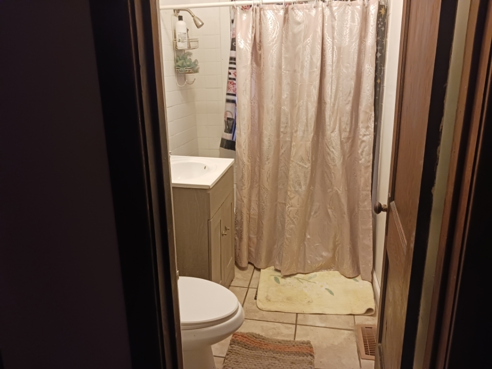 3424 West 64th Place Chicago, IL 60629 - Photo 9 of 18