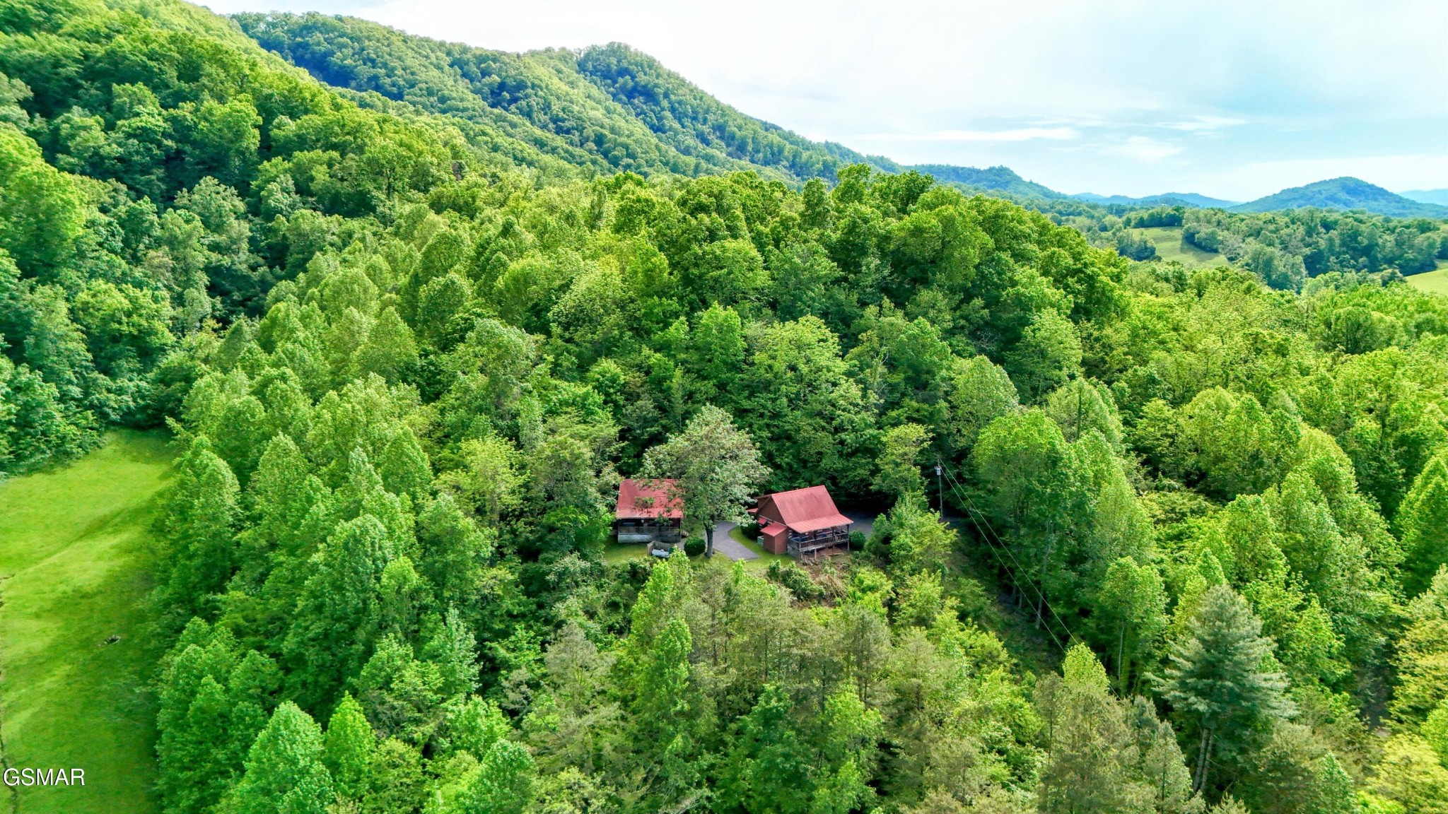 2570 Pittman Center Road Sevierville, TN 37876 - Photo 4 of 61 a view of a lush green forest with lots of trees