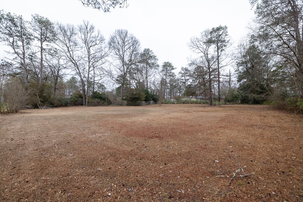 13642 Macon Road Upatoi, GA 31829 - Photo 32 of 35 Gallery Image 32