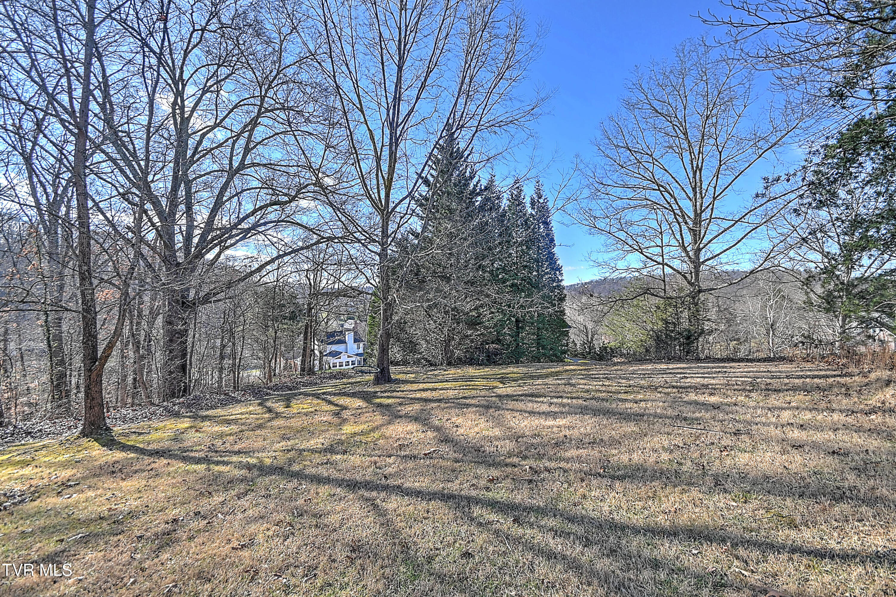 616 Kings Ridge Drive Blountville, TN 37617 - Photo 69 of 92 616 Kings Ridge DP-64