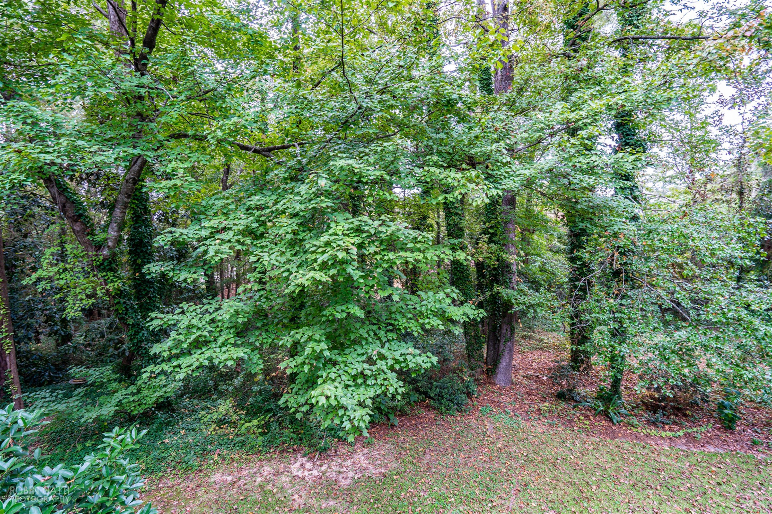 4181 Canyon Road Macon, GA 31210 - Photo 18 of 40 19-DSC04081