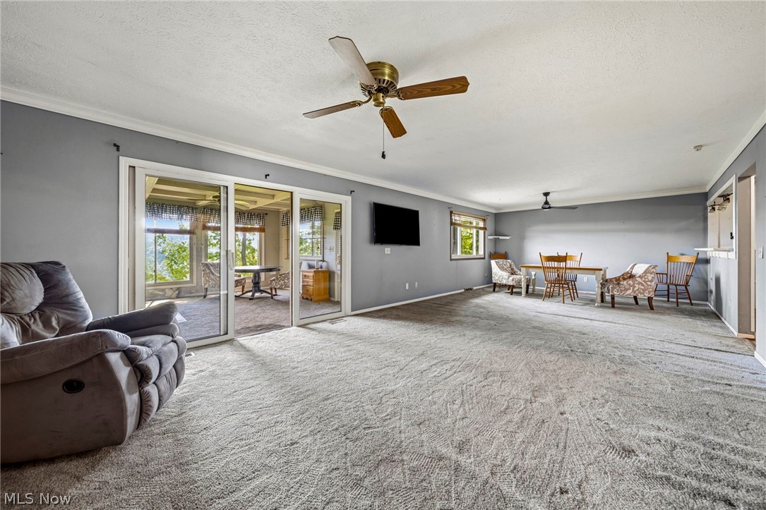 4788 River Road Perry, OH 44081 - Photo 25 of 41 Gallery Image 25
