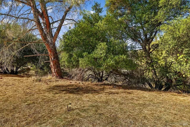 a view of a city with mountains in the background