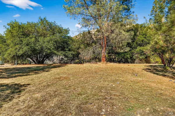 a view of large yard with large trees