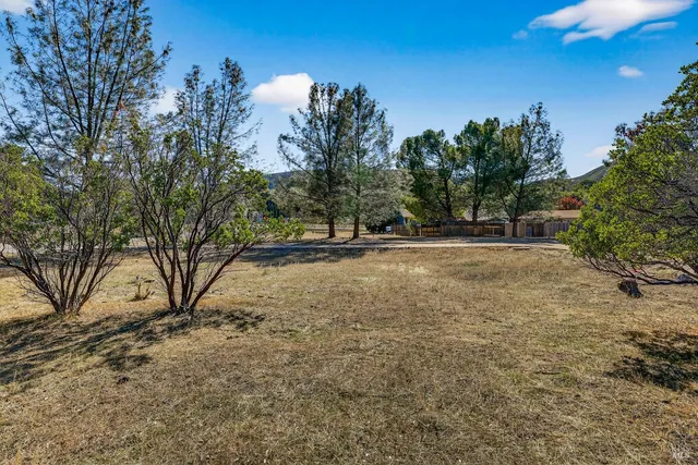 a view of outdoor space and yard