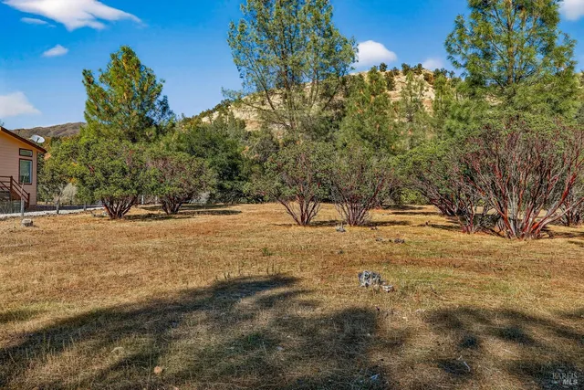a view of outdoor space with trees