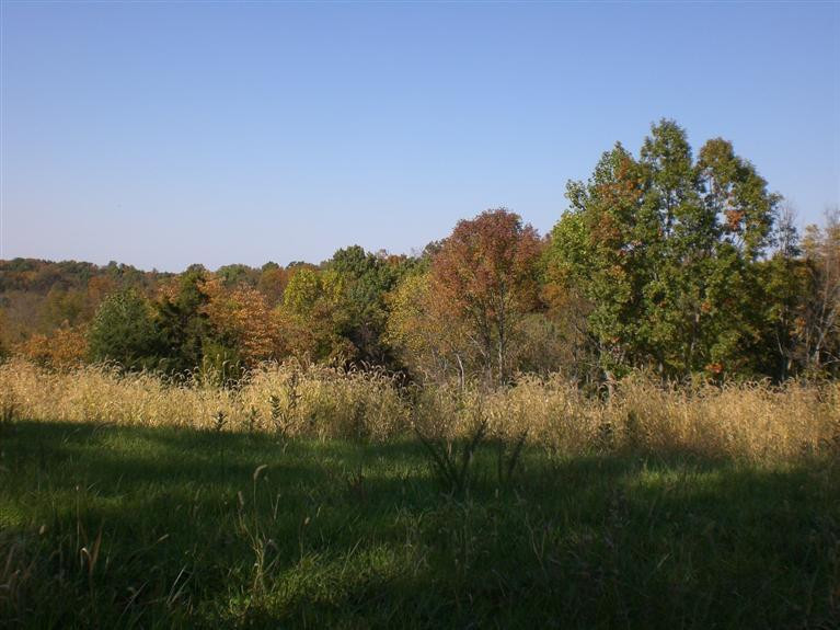 5 Clay Burgin Road Lawrenceburg, KY 40342 - Photo 7 of 9 Photo 7