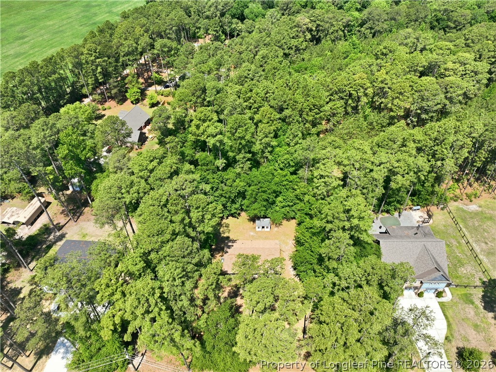 573 Ellis Road Lumber Bridge, NC 28357 - Photo 27 of 30 Gallery Image 27