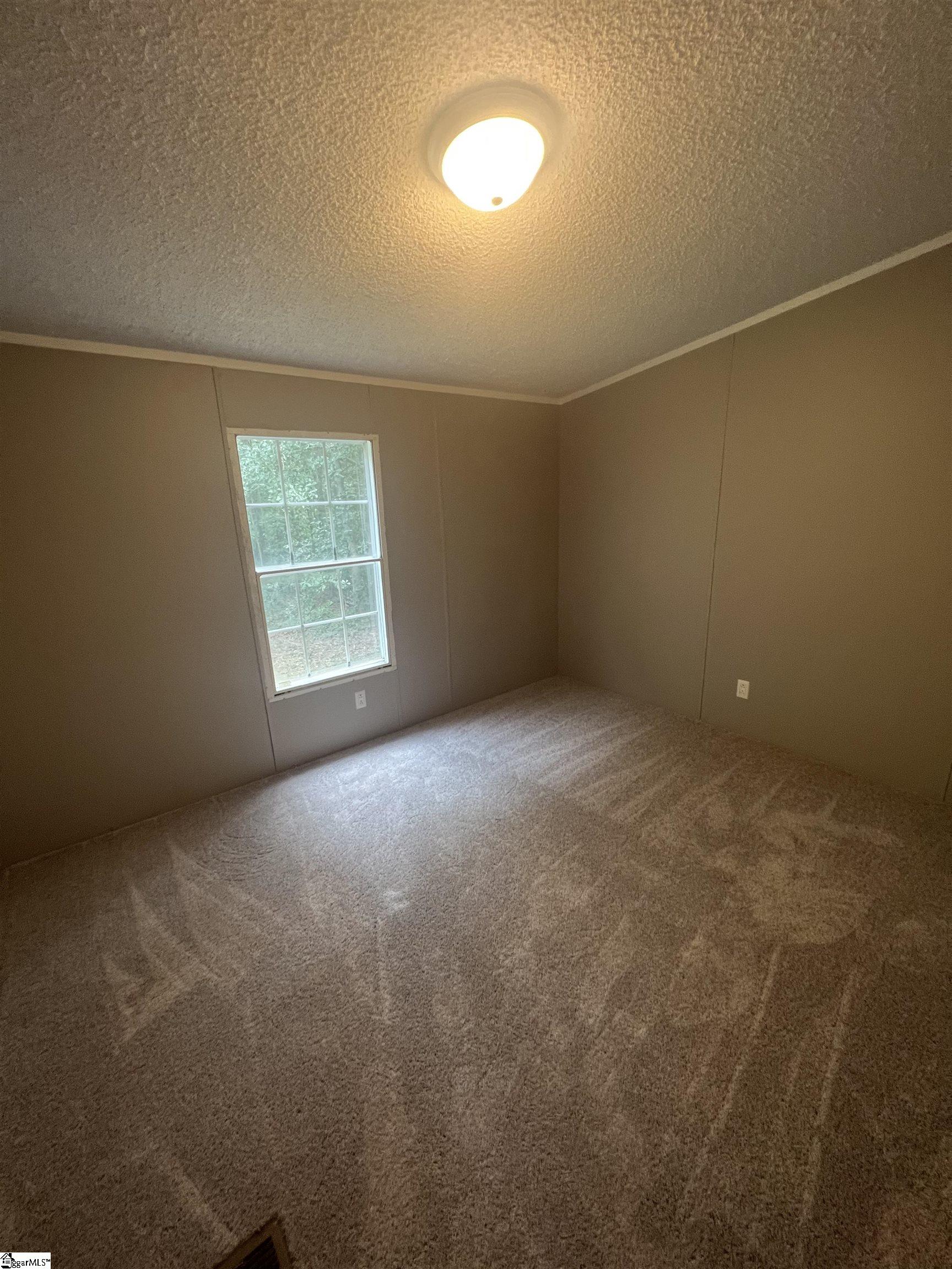 893 Black Snake Road Easley, SC 29640 - Photo 21 of 26