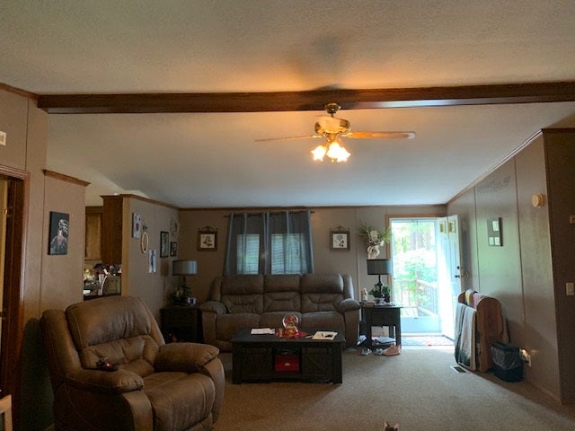 982 Walkers Chapel Road Adolphus, KY 42120 - Photo 3 of 15 Gallery Image 3