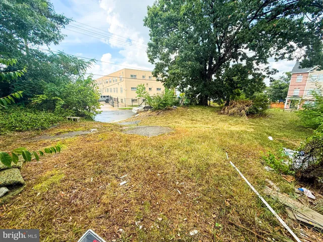 a view of backyard with green space