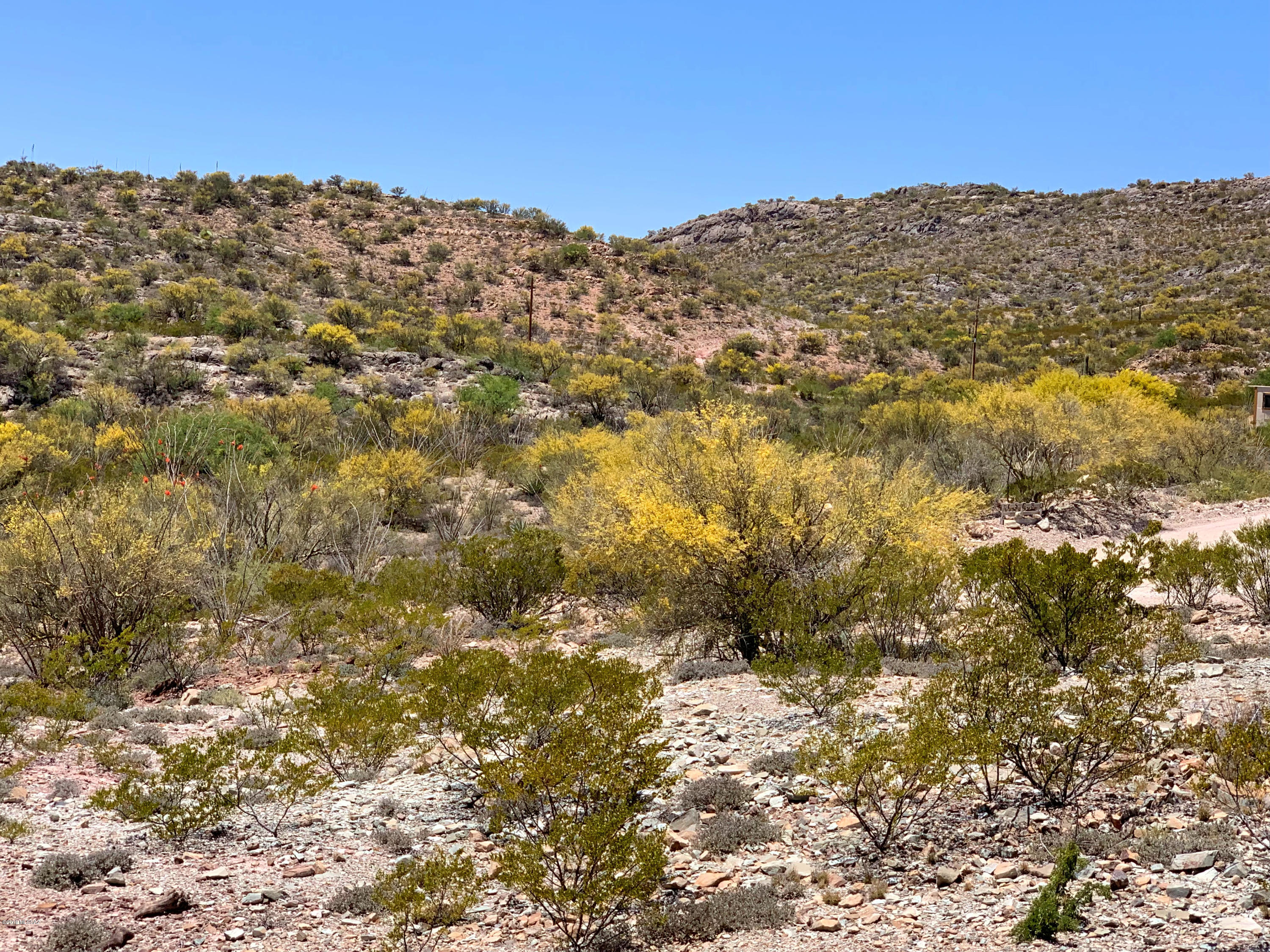 15710 East Colossal Cave - Approx Address Road Vail, AZ 85641 - Photo 13 of 15
