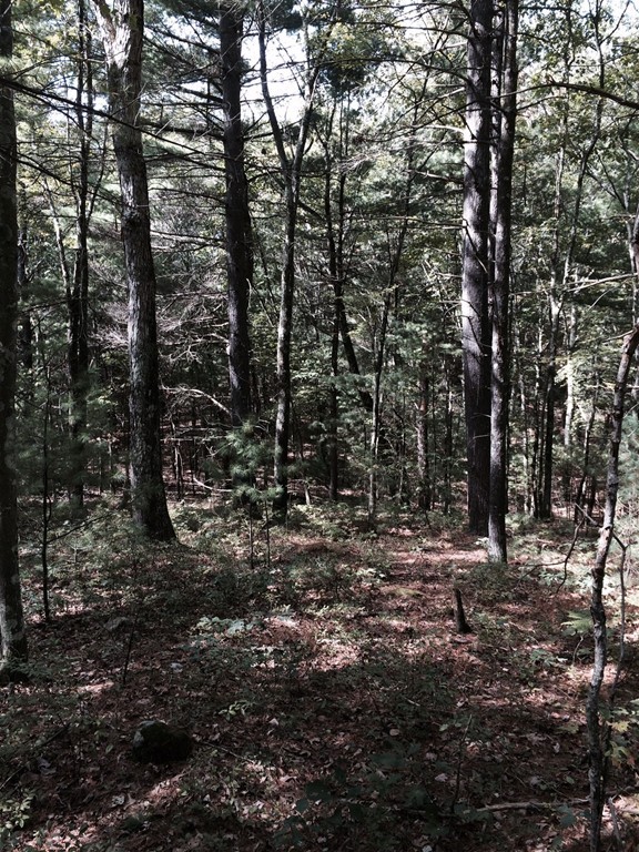 Lot D Merriam Road Grafton, MA 01519 - Photo 1 of 5 Gallery Image 1