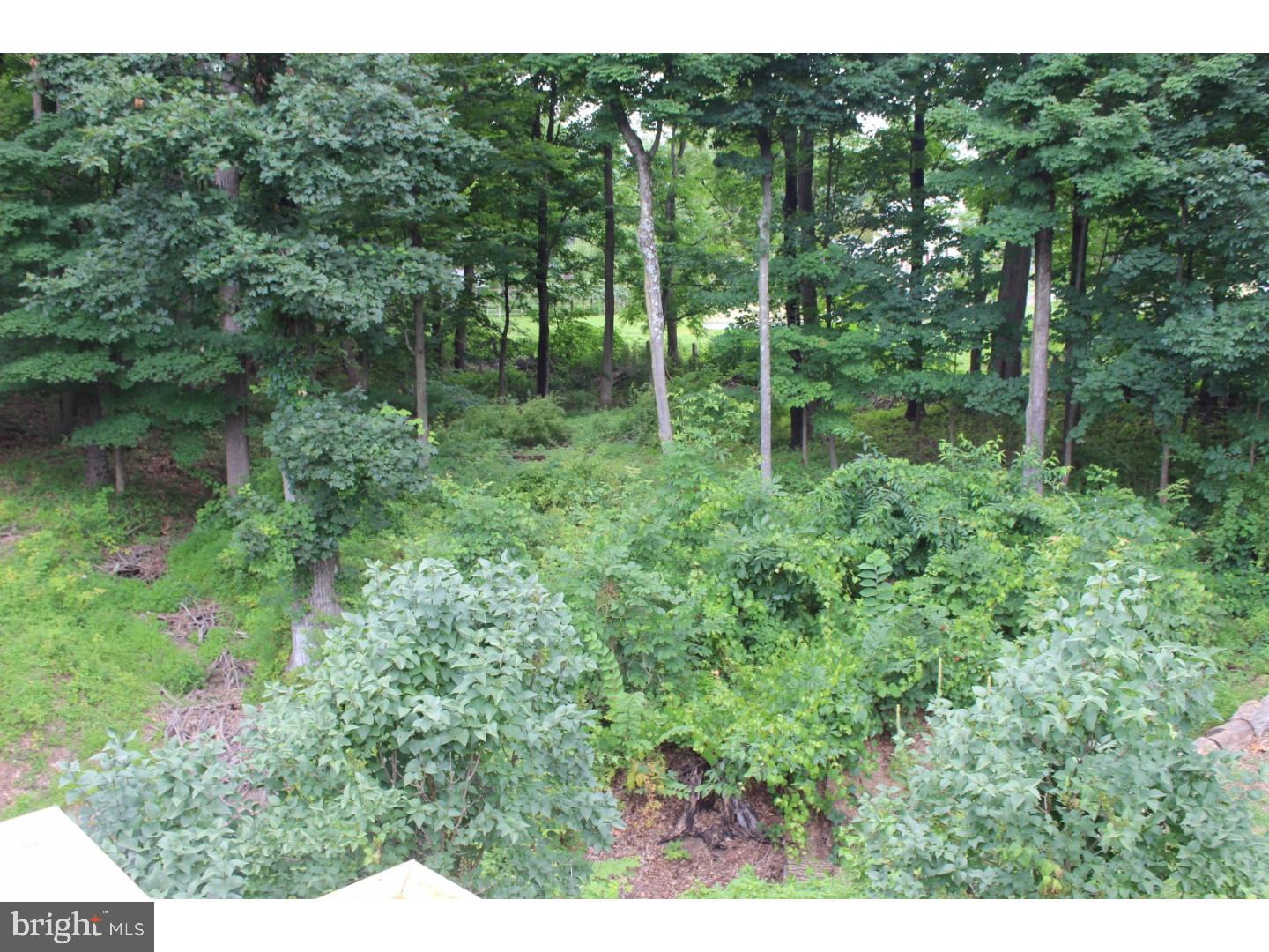 2956 York Rd. Furlong, PA 18925 - Photo 22 of 24 Gallery Image 22