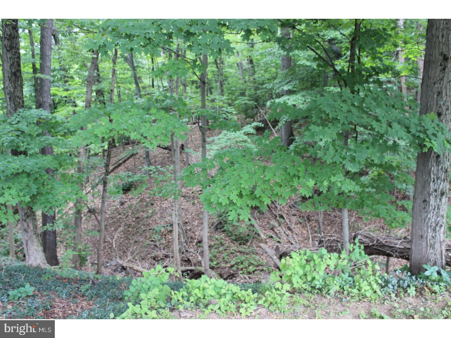 2956 York Rd. Furlong, PA 18925 - Photo 23 of 24 Gallery Image 23