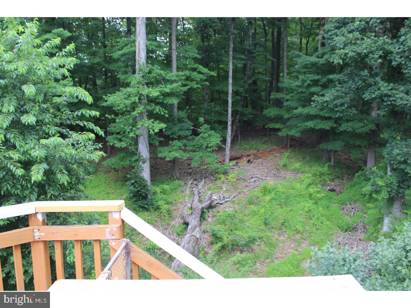 2956 York Rd. Furlong, PA 18925 - Photo 24 of 24 Gallery Image 24