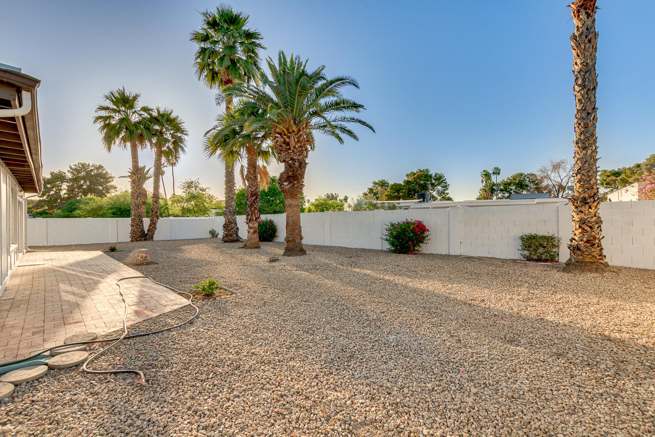 602 East Calavar Road Phoenix, AZ 85022 - Photo 38 of 48 Back yard