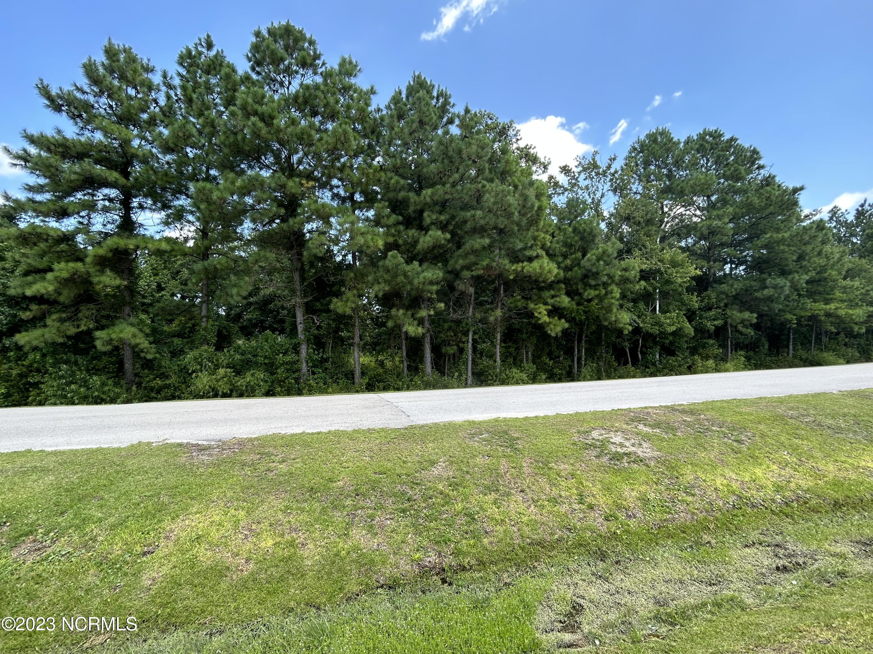 275 Steel Tank Road Beaufort, NC 28516 - Photo 26 of 26 IMG_1588