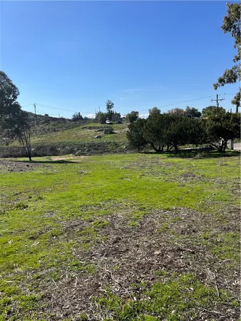 a view of an ocean from a yard