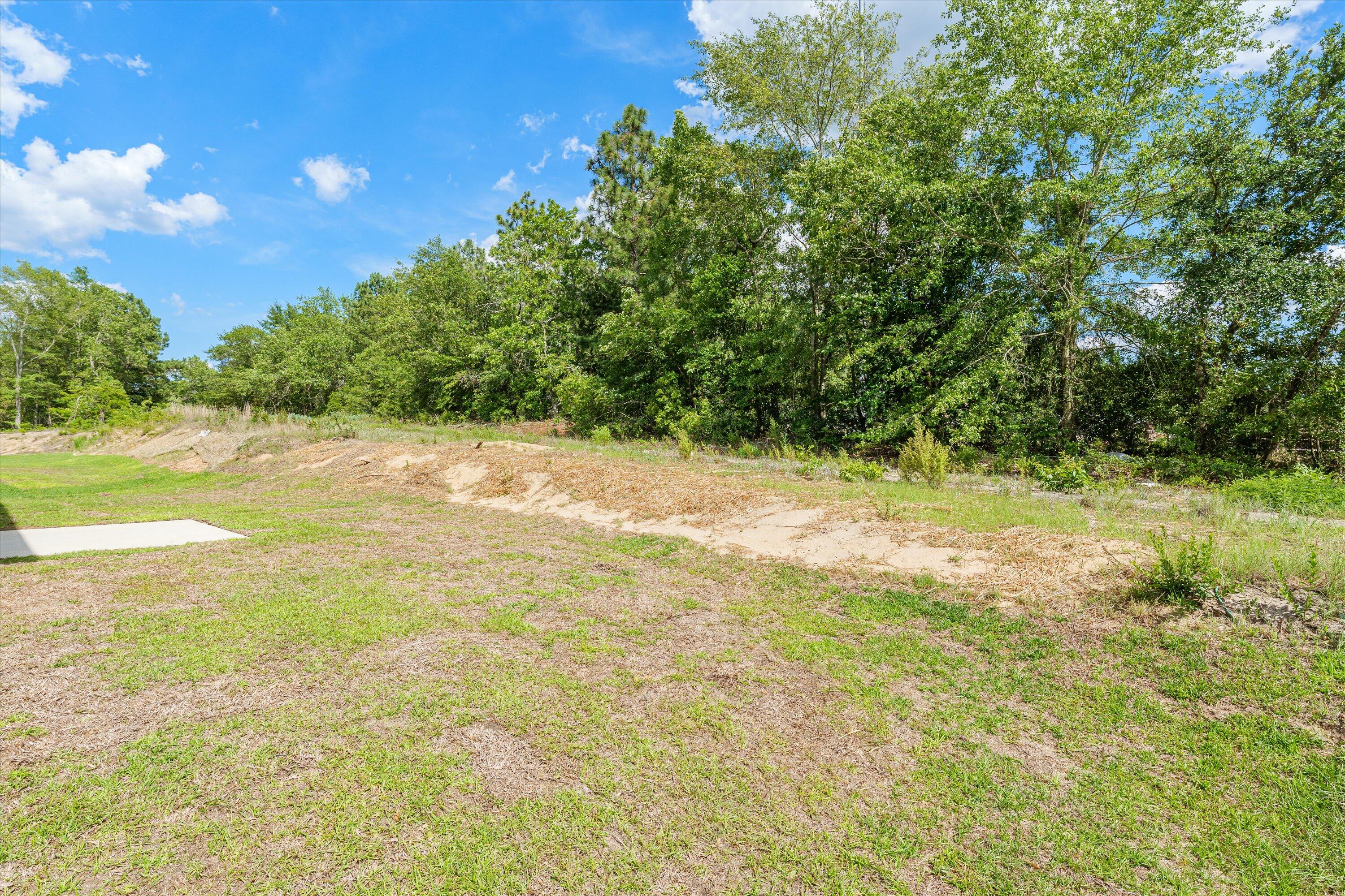 5051 Needle Palm Road Northwest, Unit LOT 72 Aiken, SC 29801 - Photo 37 of 38