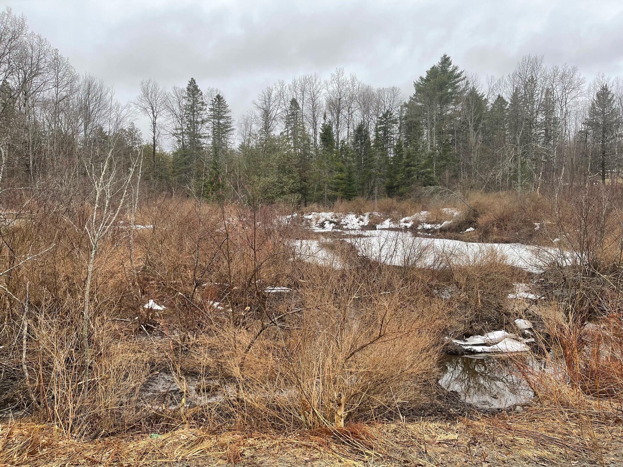 9 Jackson Street Dexter, ME 04930 - Photo 23 of 23 17