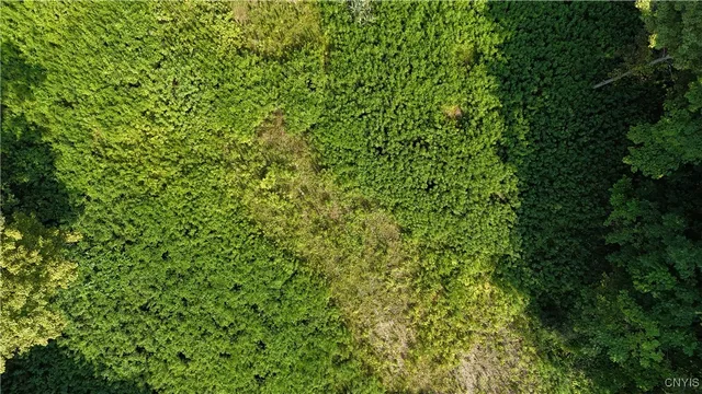 $69,000 | Clinton Avenue, Groton, NY 13073