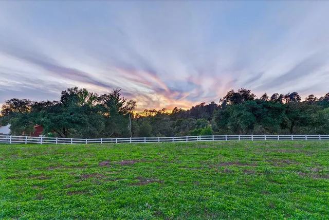 a view of a backyard with a small cabin