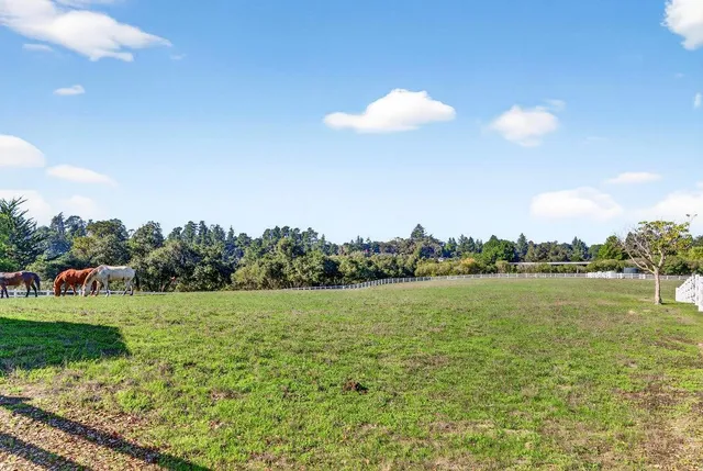 a bedroom with furniture and wooden floor