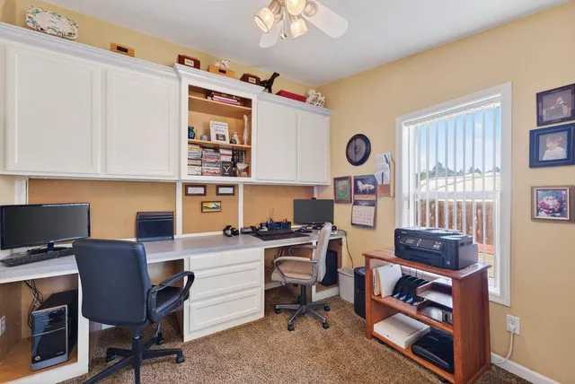 a view of a park with large trees