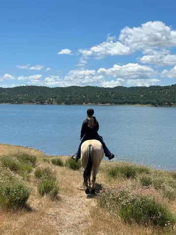 a view of a swimming pool with a lounge chair
