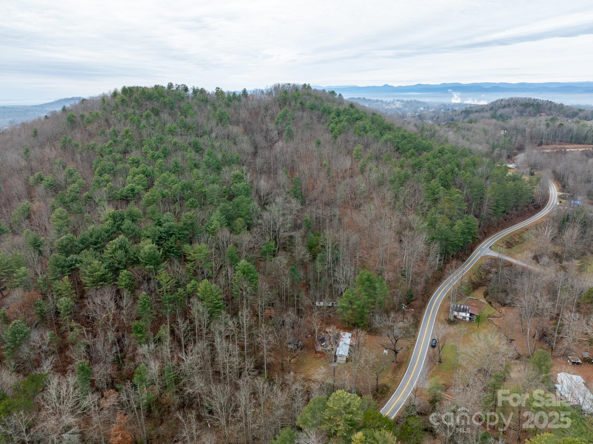 1864 Starcross Road Lenoir, NC 28645 - Photo 4 of 17 a view of a forest with a forest