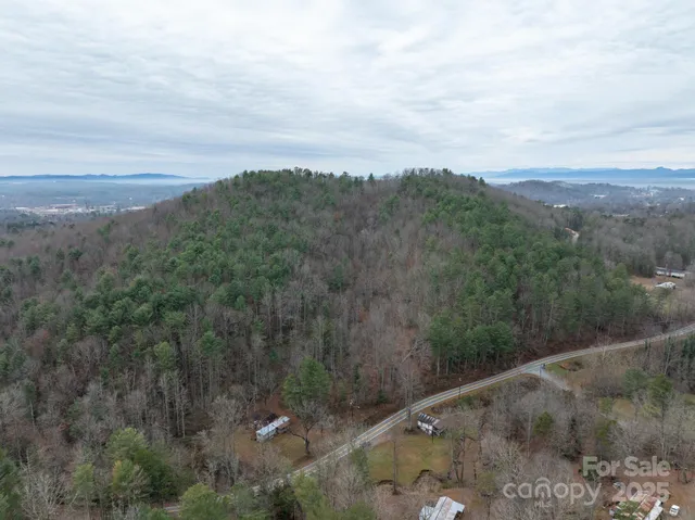 a view of a city street with lush green forest