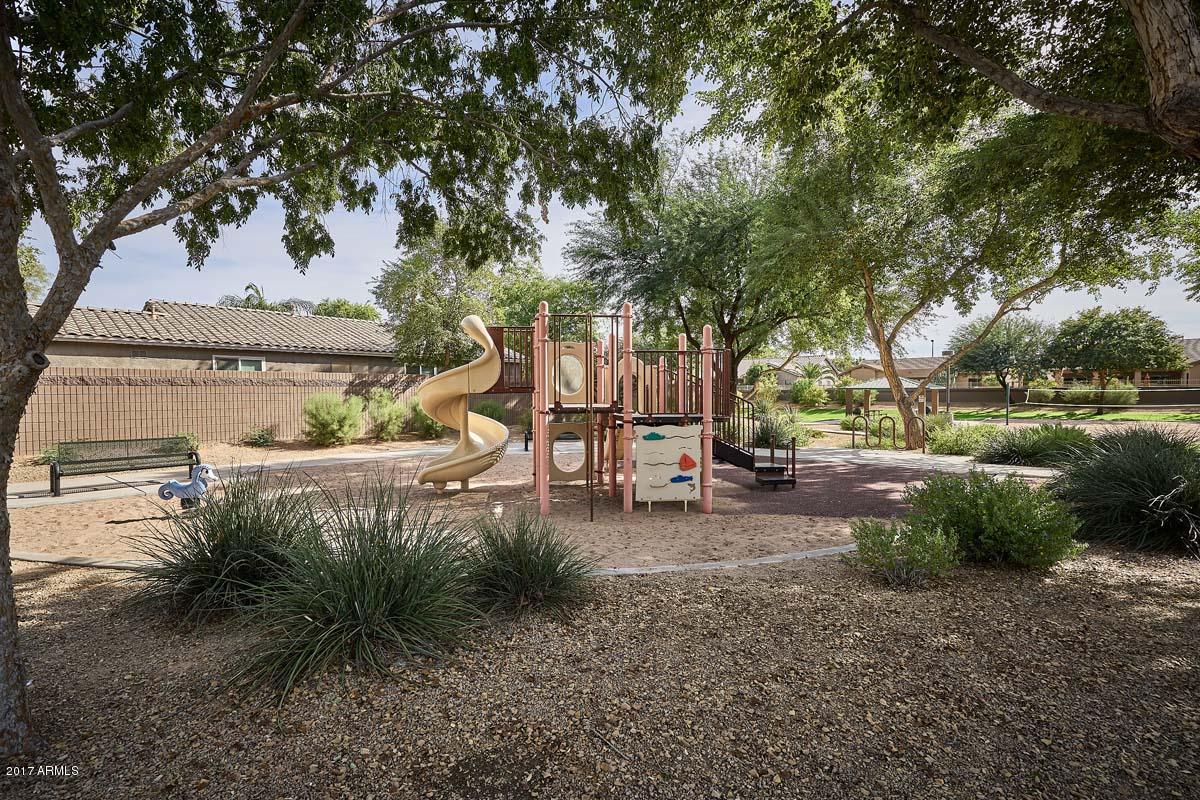3276 East Attleboro Road Gilbert, AZ 85295 - Photo 38 of 40 Chaparral Estates-Playground