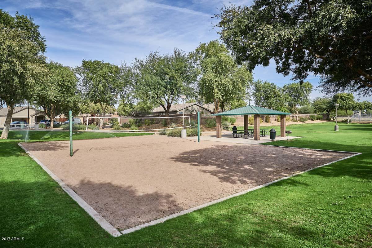 3276 East Attleboro Road Gilbert, AZ 85295 - Photo 40 of 40 Chaparral Estates-Volleyball and Picnic