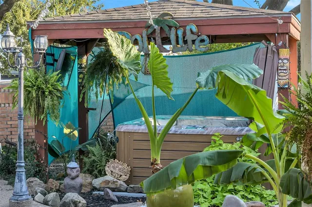 a view of a backyard with plants