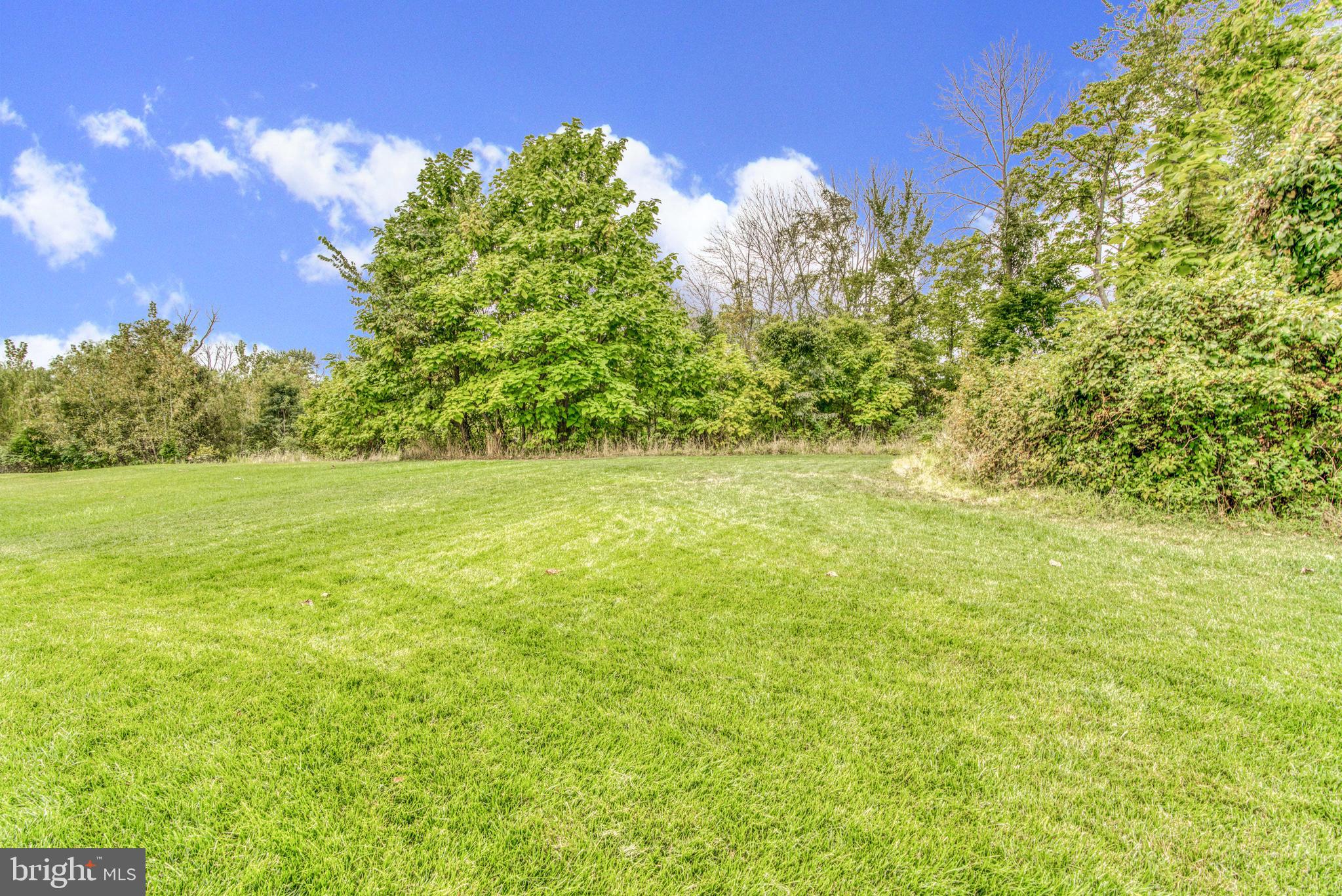 2344 Sweet Meadow Road Baltimore, MD 21209 - Photo 68 of 76 a view of a yard with a tree