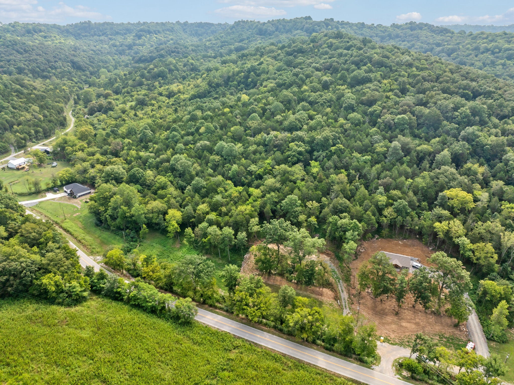 0 Stonewall Highway Carthage, TN 37030 - Photo 11 of 23 a view of a lush green forest with trees and houses