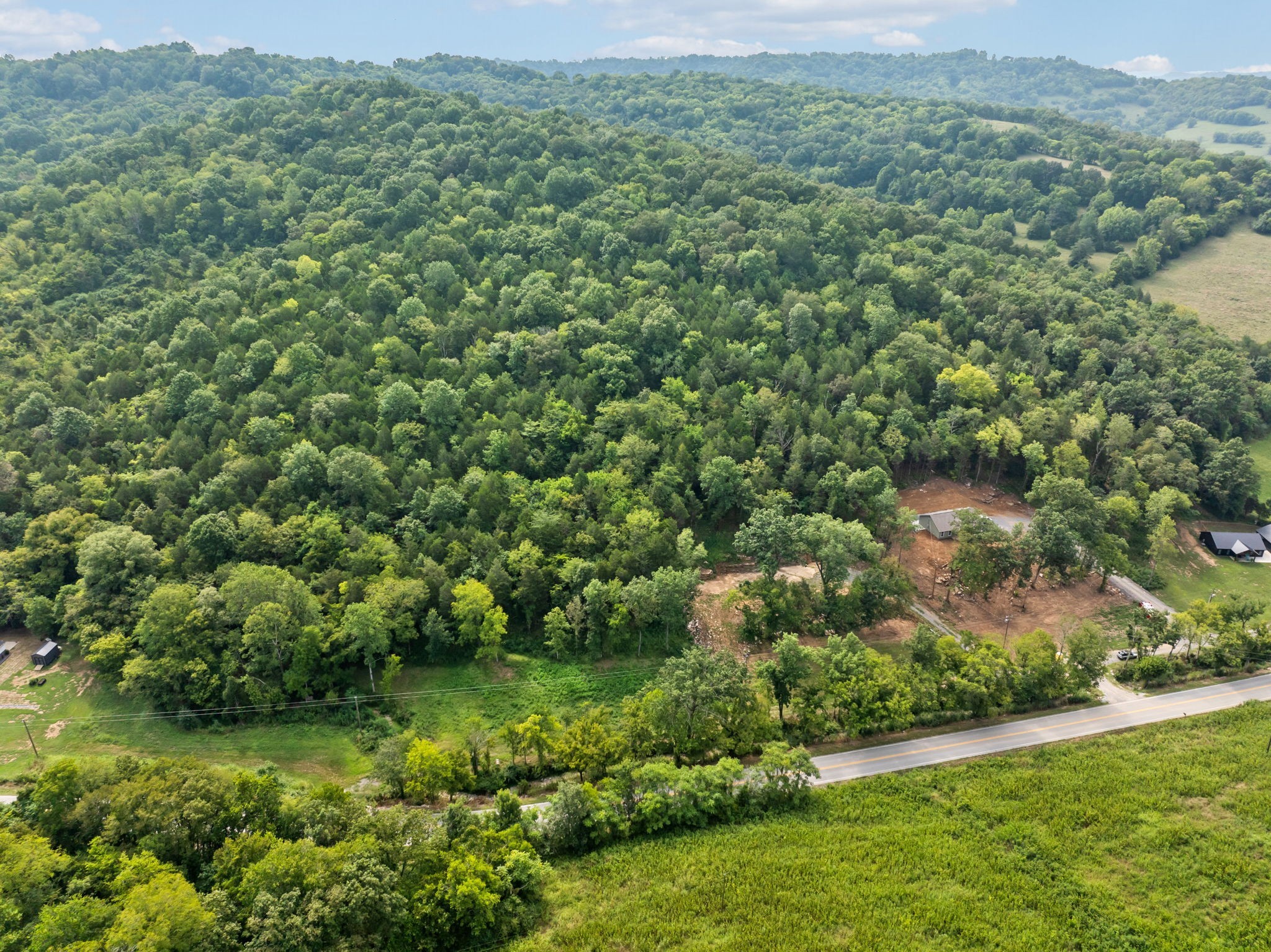 0 Stonewall Highway Carthage, TN 37030 - Photo 12 of 23 a view of a lush green field