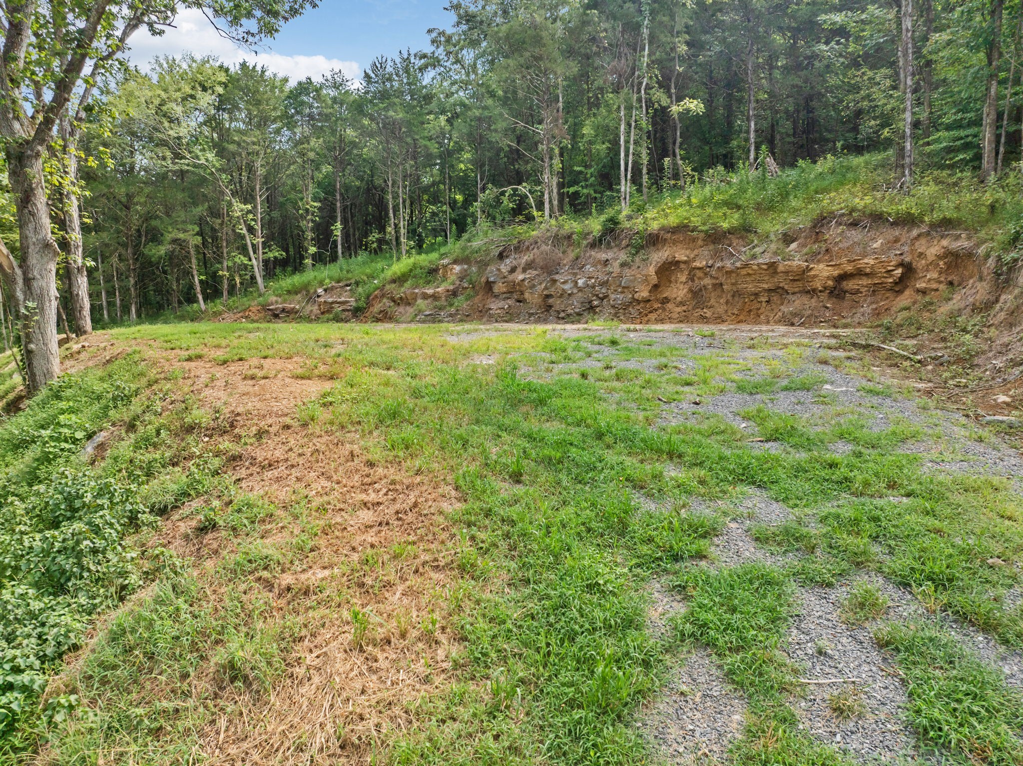 0 Stonewall Highway Carthage, TN 37030 - Photo 13 of 23 a view of outdoor space with trees all around