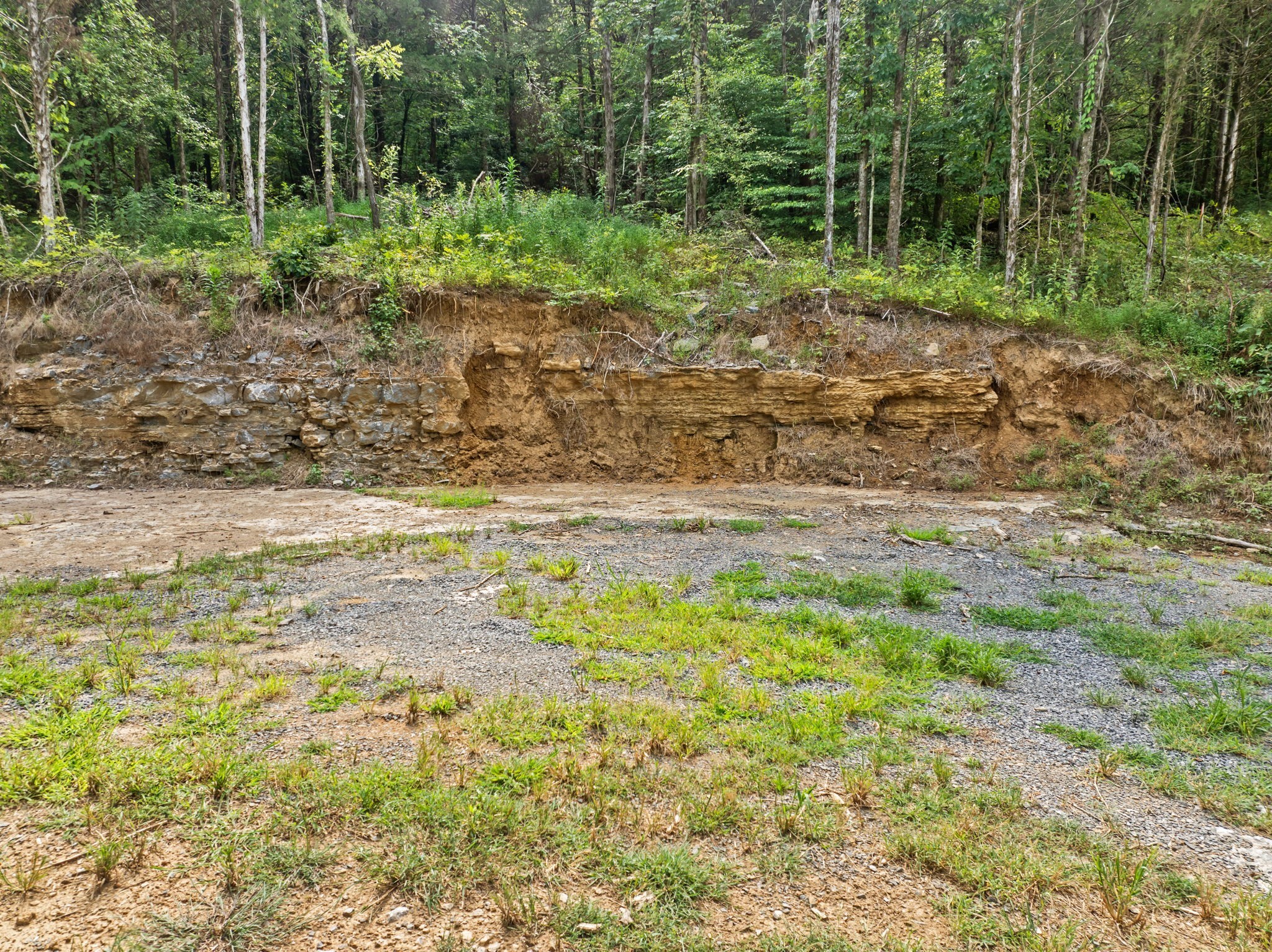 0 Stonewall Highway Carthage, TN 37030 - Photo 15 of 23 a view of a yard with plants and large trees