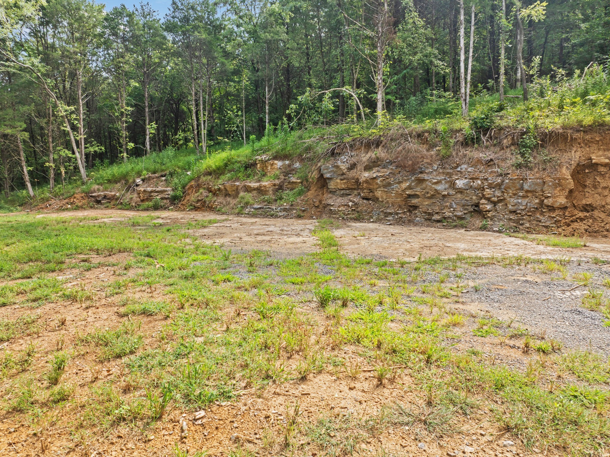 0 Stonewall Highway Carthage, TN 37030 - Photo 16 of 23 a view of a backyard with trees