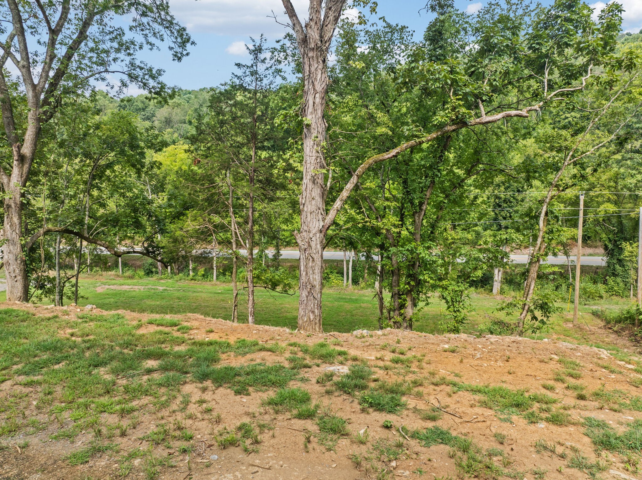 0 Stonewall Highway Carthage, TN 37030 - Photo 17 of 23 a view of a yard with plants and trees