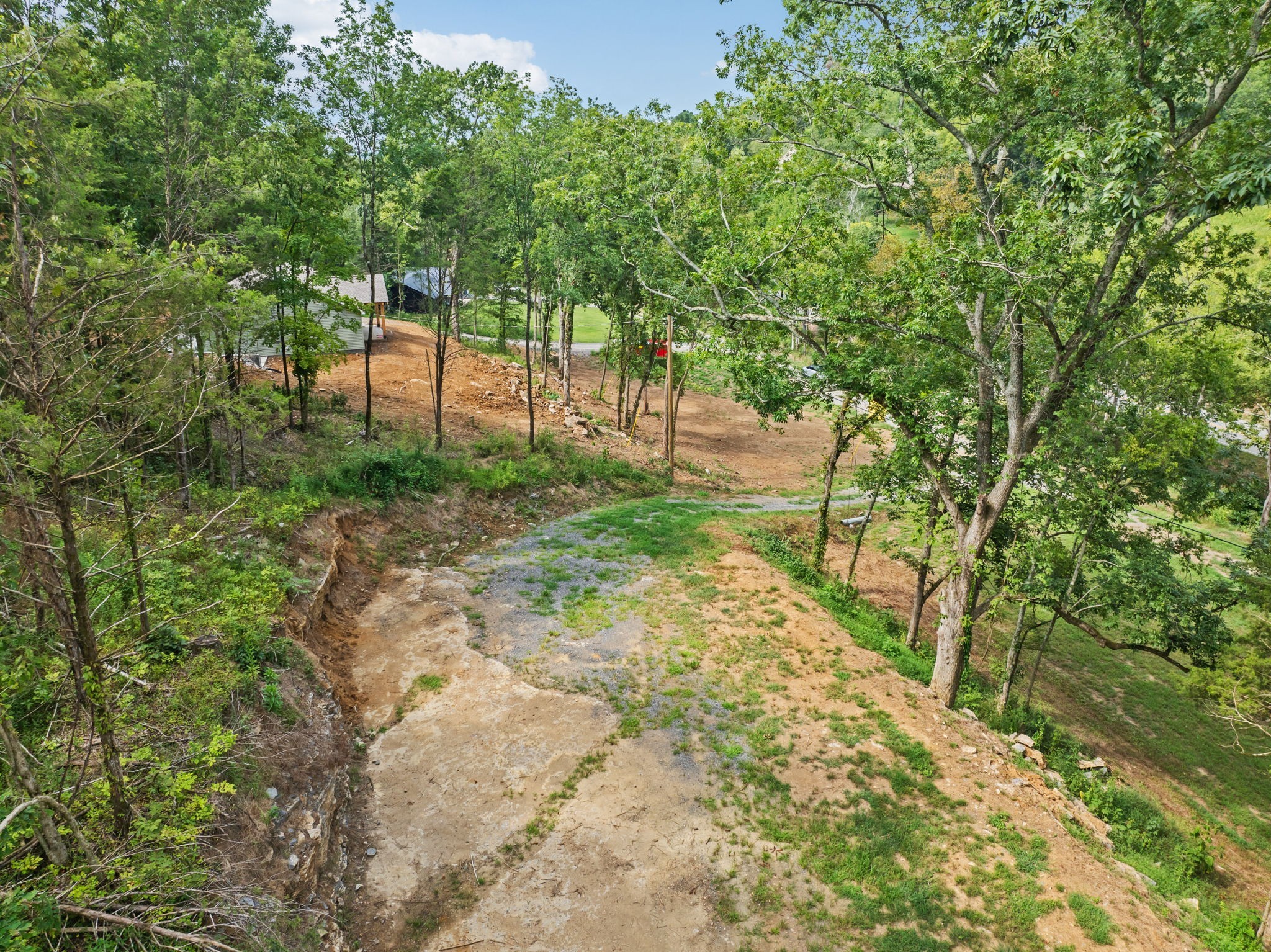 0 Stonewall Highway Carthage, TN 37030 - Photo 18 of 23 a view of backyard with tree