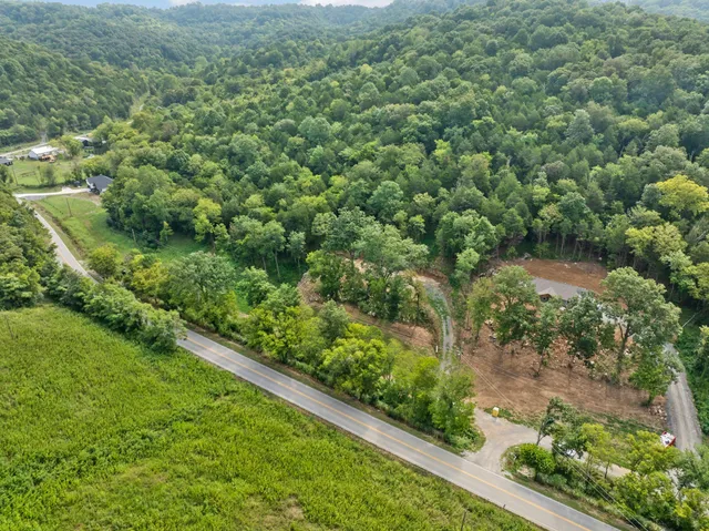 an aerial view of residential houses with outdoor space and trees