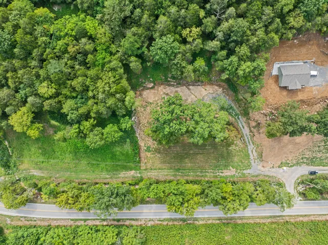 a view of a garden with a bench